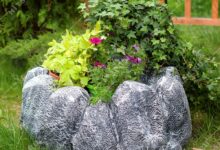 Photo of Валуны как кашпо для сада: эстетика и практичность